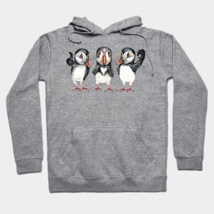 Cool Puffins Hoodie